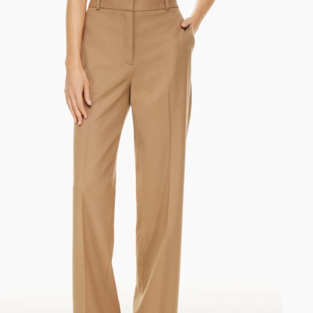 Aritzia Babaton Agency pants